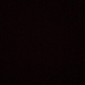 Meet your Posher, Fallon